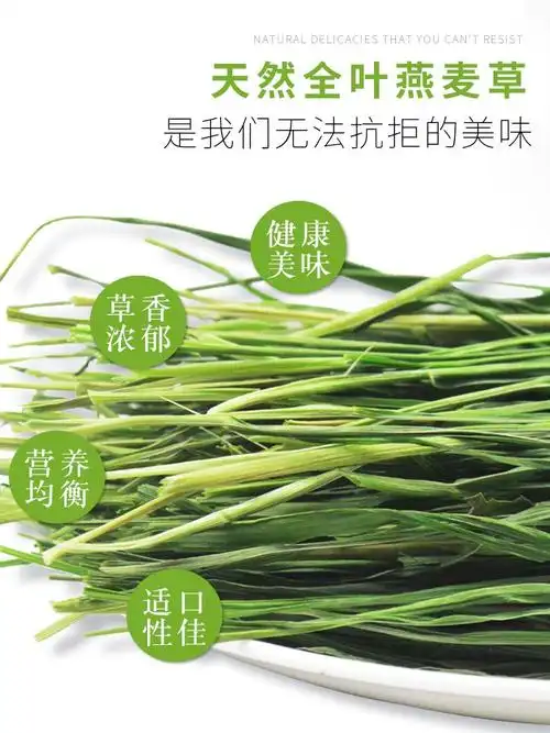 木珠缘苜蓿草提摩西草兔子磨牙干草箱装特级小麦草草段毛重1kg