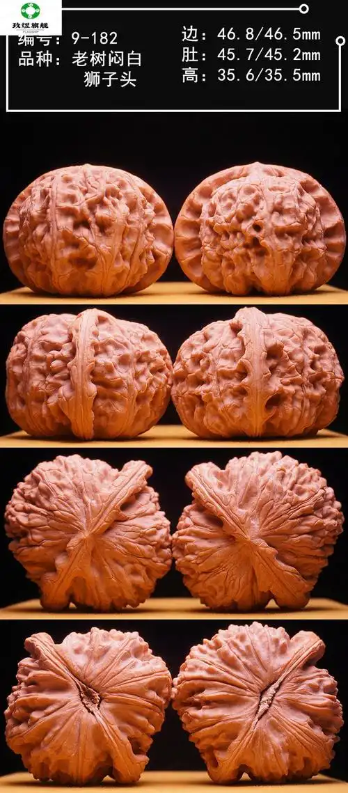 【京选旗舰】文玩核桃闷尖白狮子头磨盘球白狮子头 编号:1182【580】