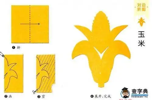 成熟的玉米棒对折剪纸植物图案