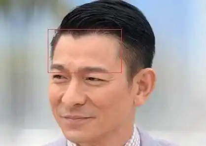 天庭饱满,腮骨突出,加上一个明显而略尖的下巴.