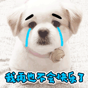 微信狗狗表情包gif可怜弱小又无助我再也不会快乐了