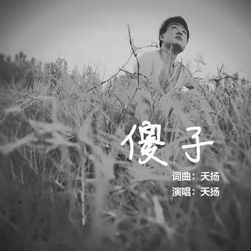 《傻子》以简单的流行,伤感的唱腔,完美的诉说一个