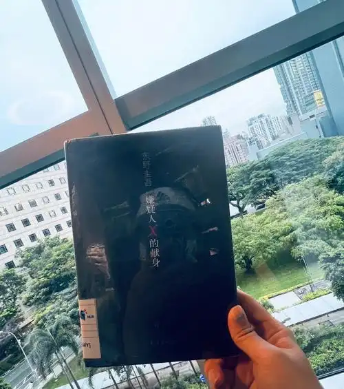 嫌疑人x的献身比恶意好看