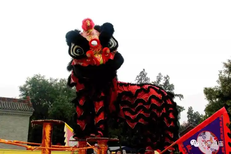 舞狮霸气,舞狮矢量图_大山谷图库