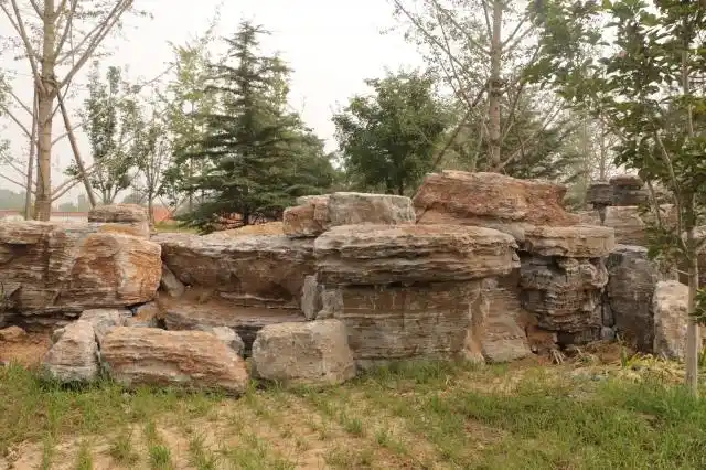 唐山植物园进行景观石调整和摆放