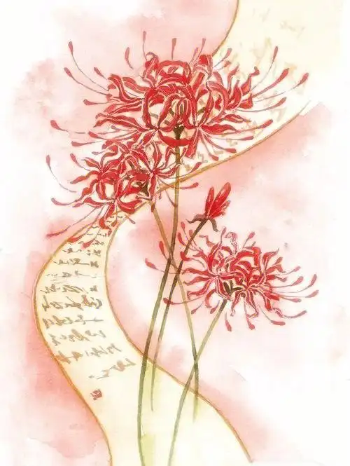 红色彼岸花花瓣遍地撒