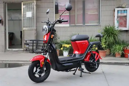 金箭国标电动大证车型