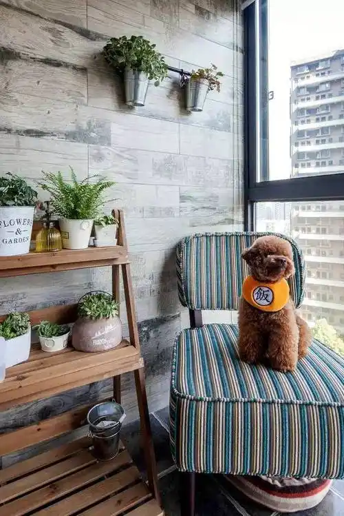 利用阳台一角养养花,养养宠物,没事的时候晒晒太阳,喝一杯咖啡,读一本