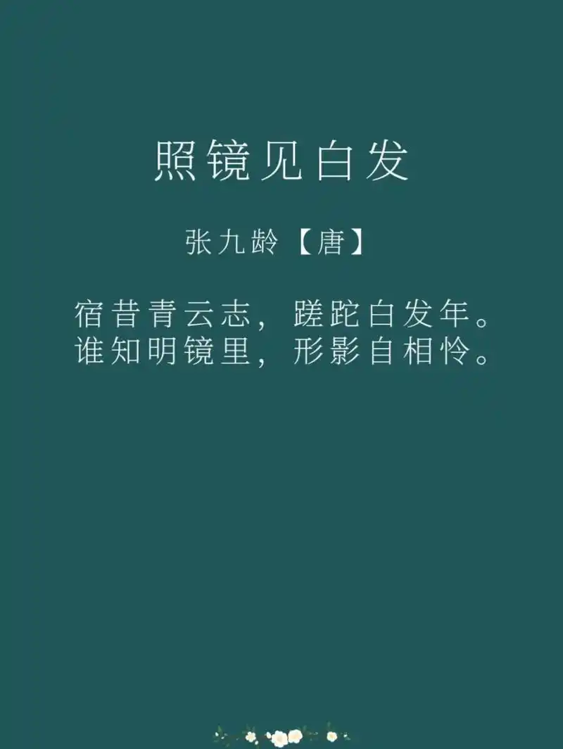 每日一诗词|《照镜见白发》张九龄 译文: 以前做宰相时,报效国家,日理