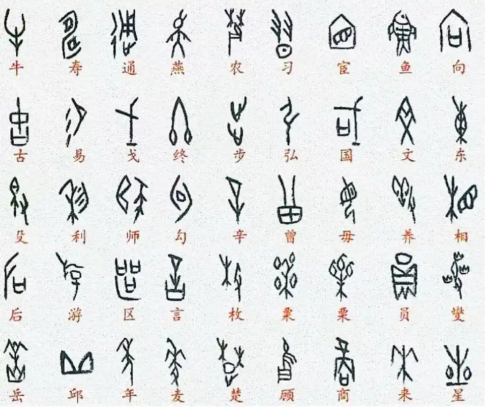 常用字甲骨文对照表 94已发现的殷墟甲骨文里,有大量指事字,象形字