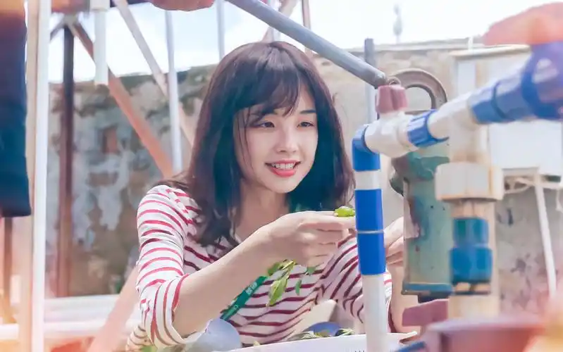 4k巨制——王冰冰夏季限定mv