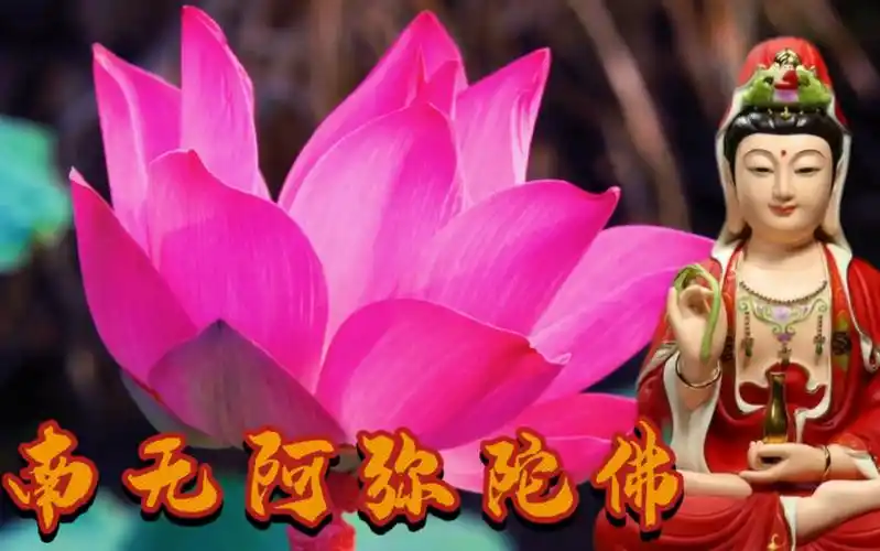 李娜 《南无阿弥陀佛》完整版