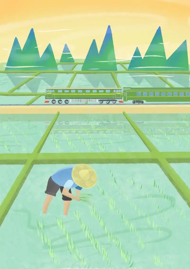 24载插秧专列为端牢中国饭碗提供铁力支撑