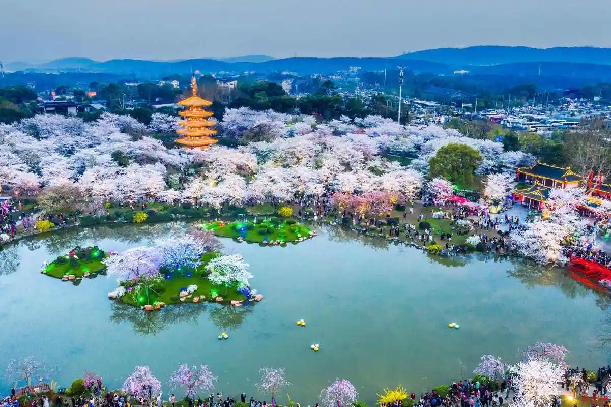 真是美哭了盘点国内18大赏樱花胜地超值收藏上