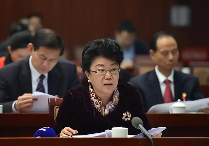 柳红代表审议发言中