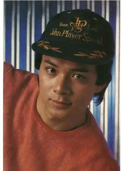 p>黄日华,1961年9月4日出生于广东省惠州市博罗县,中国香港男演员