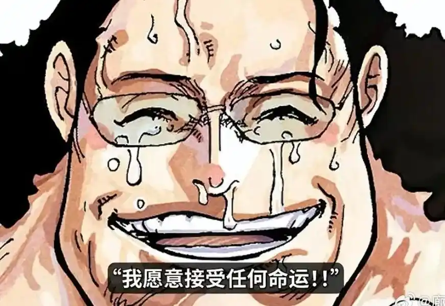 肉球果实并不是消除别人的痛苦,而是需要由自己来承受,熊的一生 - 抖