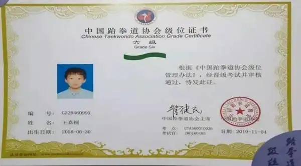 中国跆拳道协会级位证书:王嘉桐,河北省承德市隆化县存瑞中学八年级