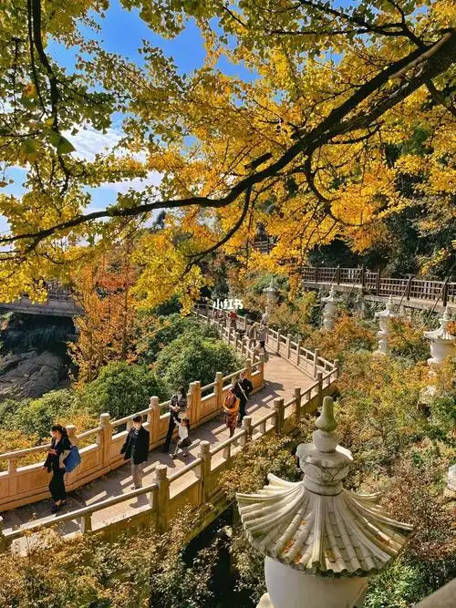 杭州最秋天的地方千年径山禅意寻秋