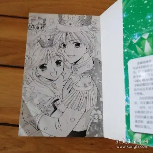 七公主吉拉拉45两本合售