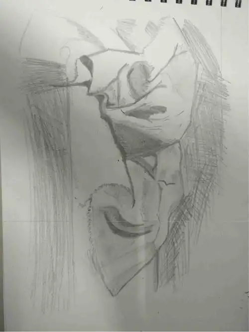 135-酒娘临摹布—素描材质质感练习 举报