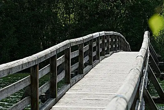 木桥,步行桥,水,空