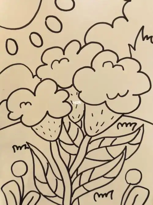 儿童画线稿鸡冠花