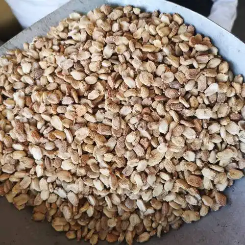 来源药材基源:为葫芦科植物苦瓜的种子.