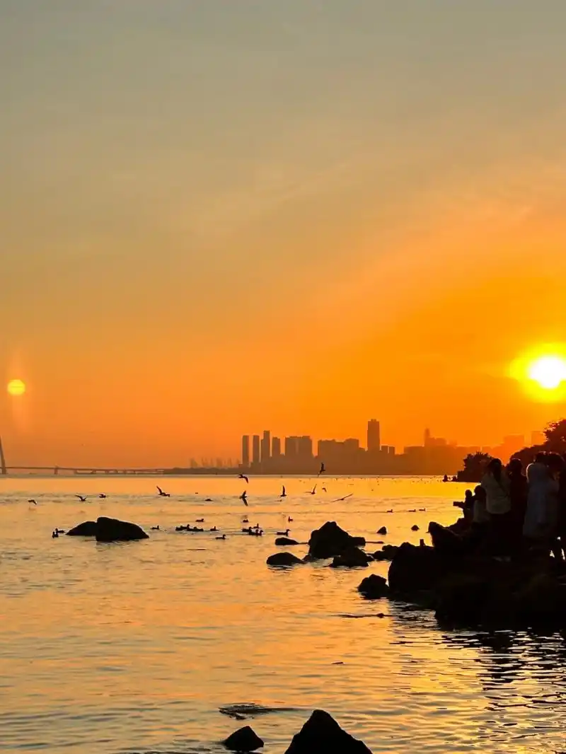 好漂亮的夕阳红!