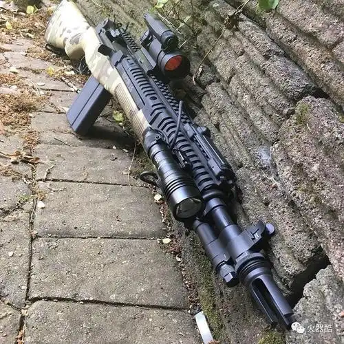 逍遥最喜欢的步枪m14m1a步枪美图集