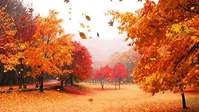 400_225gif 动态图 动图