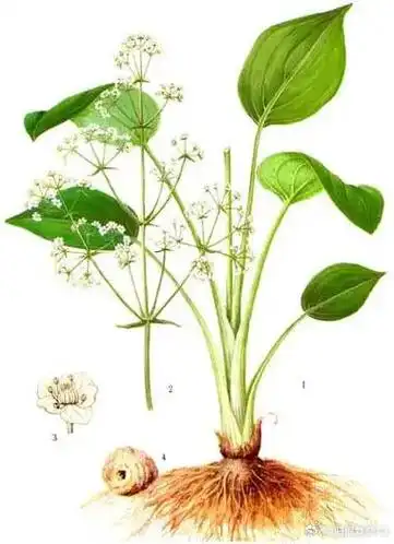 论道岐黄##国医的精诚力量##健康养生##中医养生