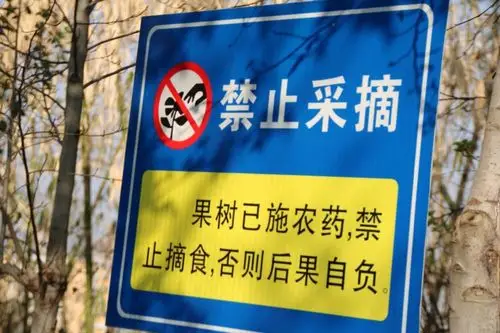 老师告诉我们这是"禁止采摘"的标志,花儿漂亮但是我们只能用小眼睛看