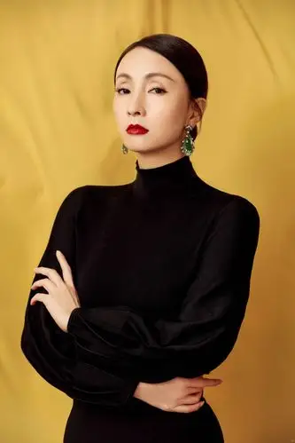 陶虹穿黑色连衣裙配翡翠首饰优雅大气显古典美