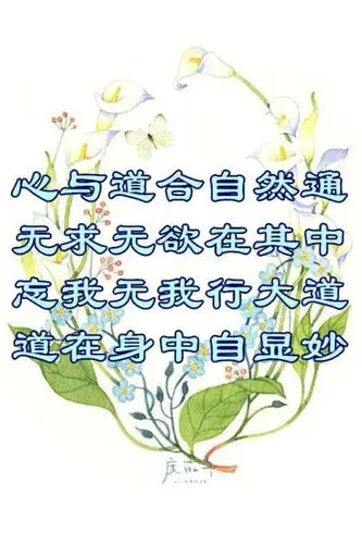 放下执着,要无我.