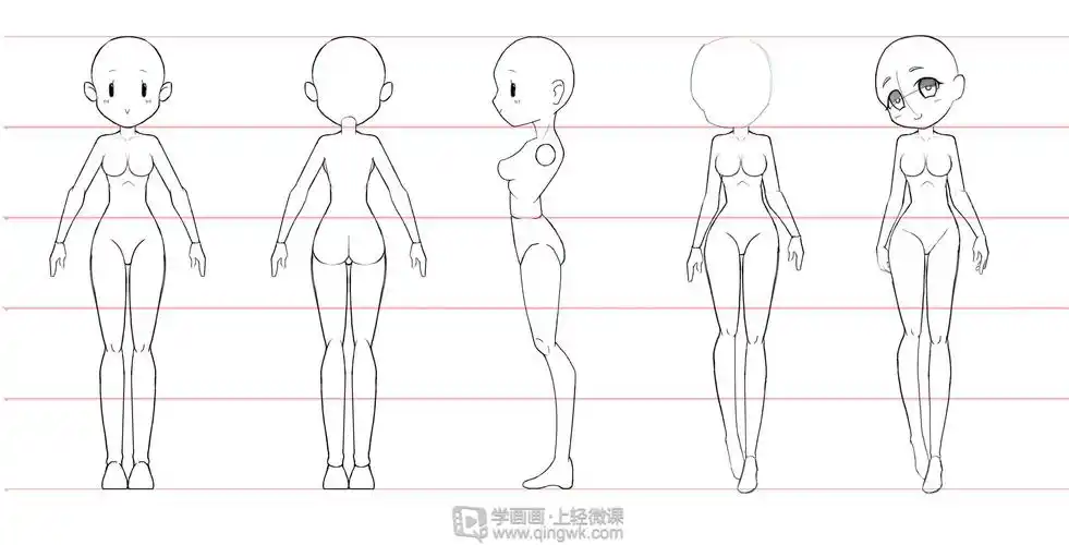 b                  5头身女性女性q版人体三视图