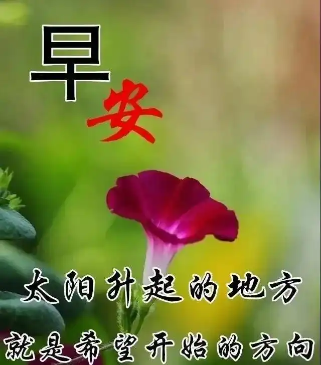 一束阳光洒下,当和煦的第一缕清风吹来,我轻轻把我的第一声祝福送给你