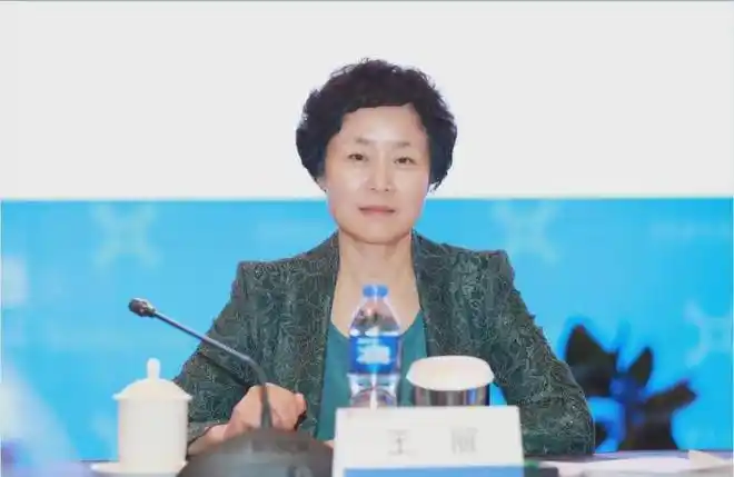 7亿元,这两笔贷款在发放之前就存在重大问题,但在王丽的安排下,全部