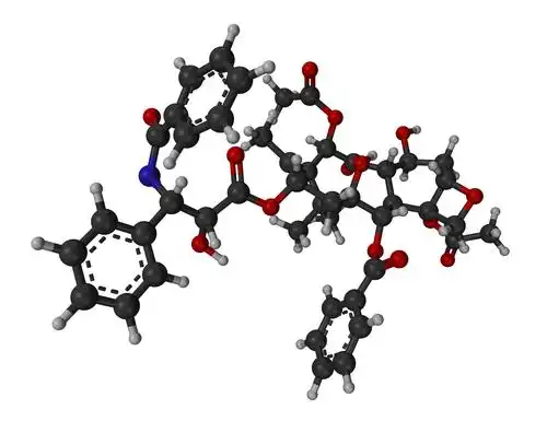 3d model of paclitaxel molecule.