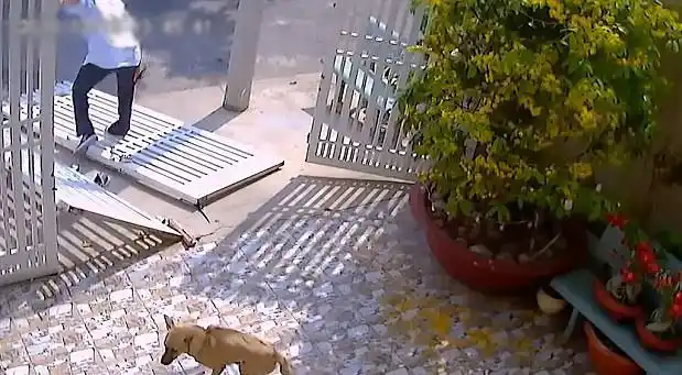 滑稽越南一小偷破门行窃不成反被大门砸骨折