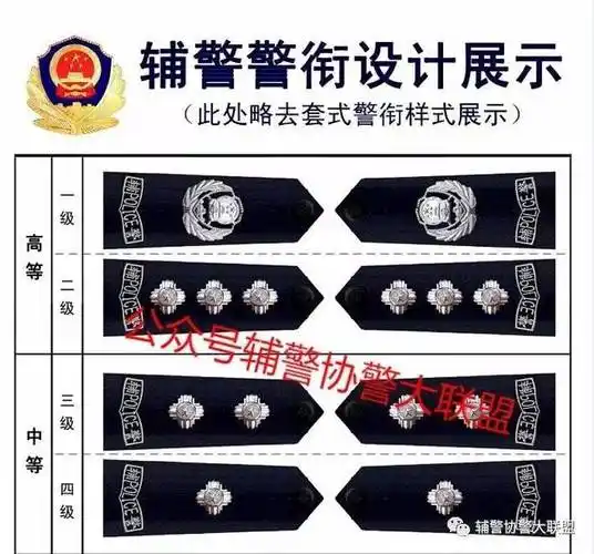 辅警警衔设计,太漂亮!好想来一套