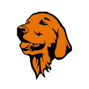 年的象征, 狗头, 剪影-动画片在白色 backgr照片