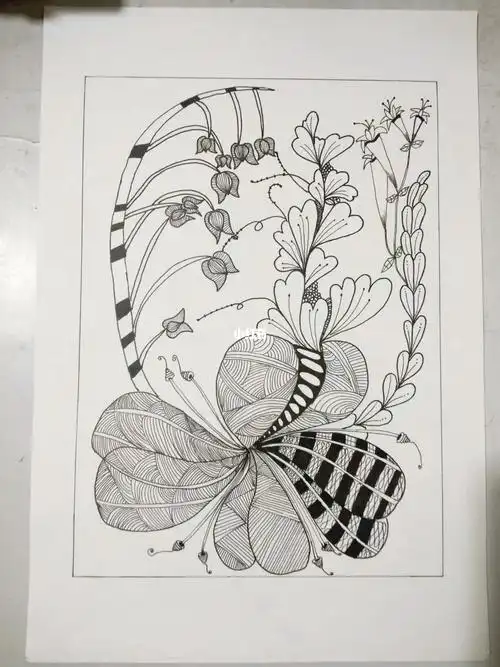 装饰线描画植物手绘