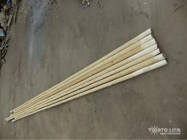 白腊杆"(俗称"白腊树","腊木杆"等),生长在豫东平原上的黄河故道两旁