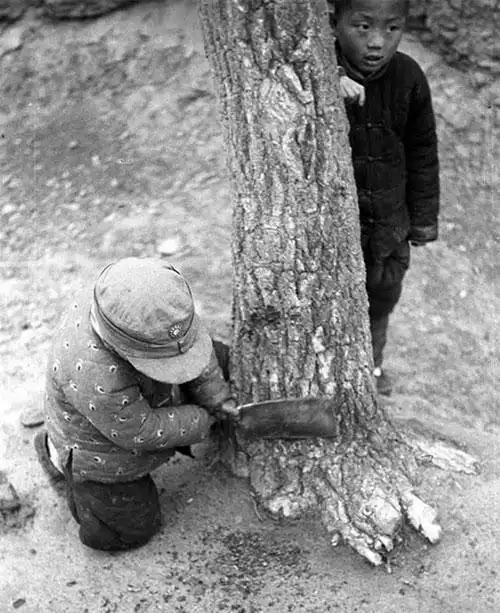 老照片:1942年闹饥荒的场面令人泪目!