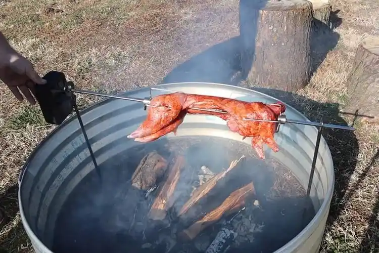男子在野外烤兔子,这手艺没得说,看得我口水直流!