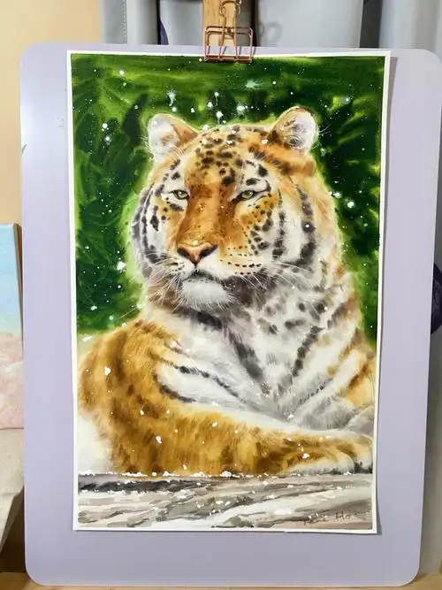 水彩大老虎四开附过程图