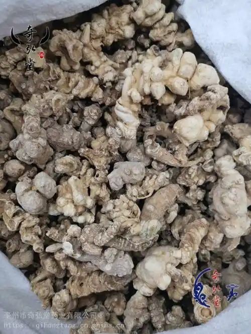 白三七奇弘堂白三七产地批发图片