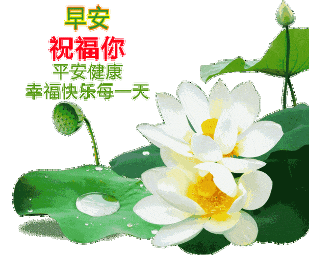 不用打字就可以聊天的早上好图片2021创意好看的秋日早安问候祝福语