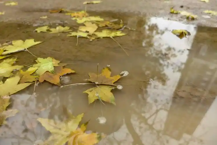 雨后的水洼都那么清澈,那我们的心呢.